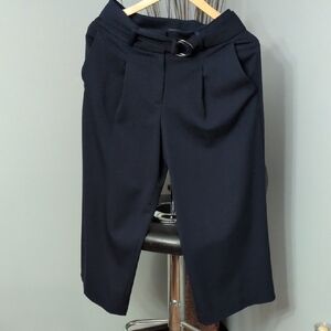 Ann Taylor Factory Navy Cropped Trousers
